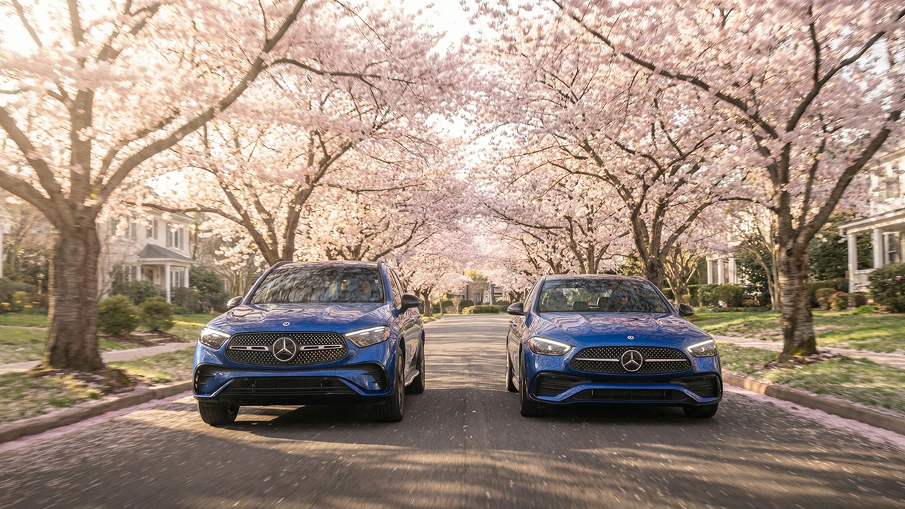 Spring into Full Bloom